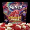 stoned mushroom gummies
